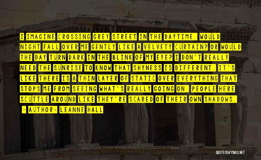 Leanne Hall Quotes: I Imagine Crossing Grey Street In The Daytime. Would Night Fall Over Me Gently Like A Velvety Curtain? Or Would