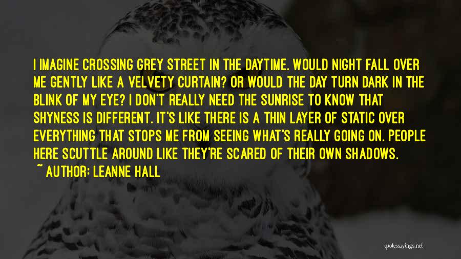 Leanne Hall Quotes: I Imagine Crossing Grey Street In The Daytime. Would Night Fall Over Me Gently Like A Velvety Curtain? Or Would