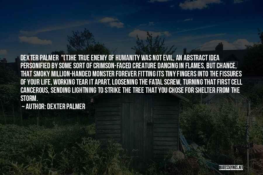 Dexter Palmer Quotes: Dexter Palmer (t)he True Enemy Of Humanity Was Not Evil, An Abstract Idea Personified By Some Sort Of Crimson-faced Creature