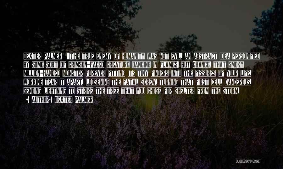 Dexter Palmer Quotes: Dexter Palmer (t)he True Enemy Of Humanity Was Not Evil, An Abstract Idea Personified By Some Sort Of Crimson-faced Creature