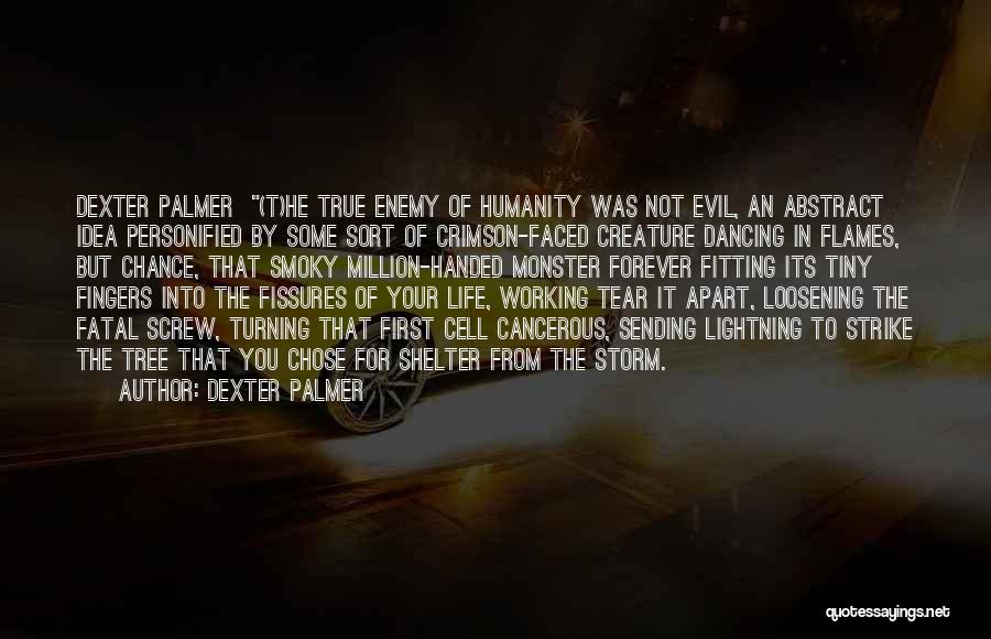 Dexter Palmer Quotes: Dexter Palmer (t)he True Enemy Of Humanity Was Not Evil, An Abstract Idea Personified By Some Sort Of Crimson-faced Creature