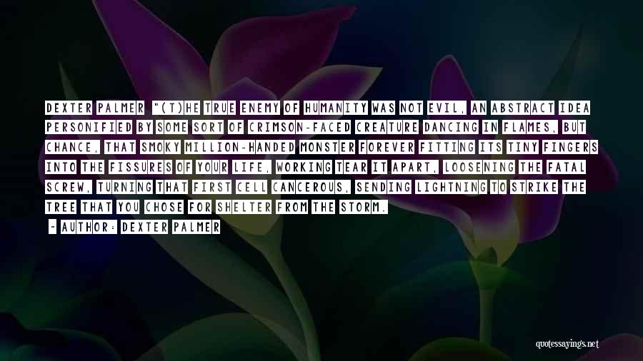 Dexter Palmer Quotes: Dexter Palmer (t)he True Enemy Of Humanity Was Not Evil, An Abstract Idea Personified By Some Sort Of Crimson-faced Creature