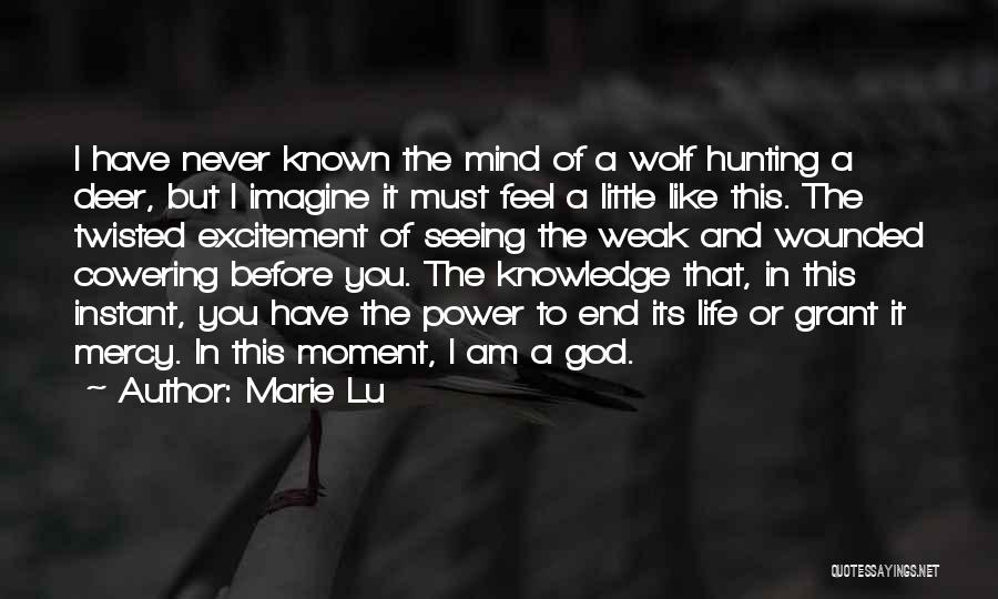Marie Lu Quotes: I Have Never Known The Mind Of A Wolf Hunting A Deer, But I Imagine It Must Feel A Little