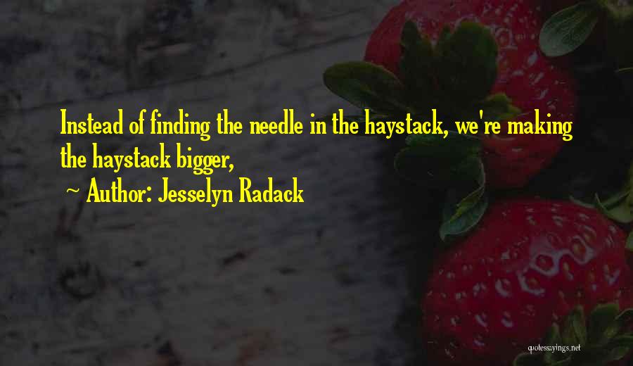 Jesselyn Radack Quotes: Instead Of Finding The Needle In The Haystack, We're Making The Haystack Bigger,