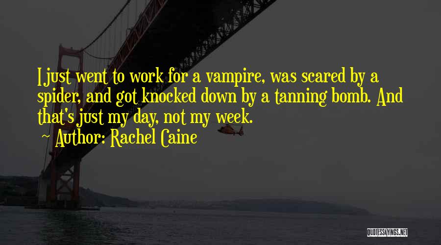 Rachel Caine Quotes: I Just Went To Work For A Vampire, Was Scared By A Spider, And Got Knocked Down By A Tanning