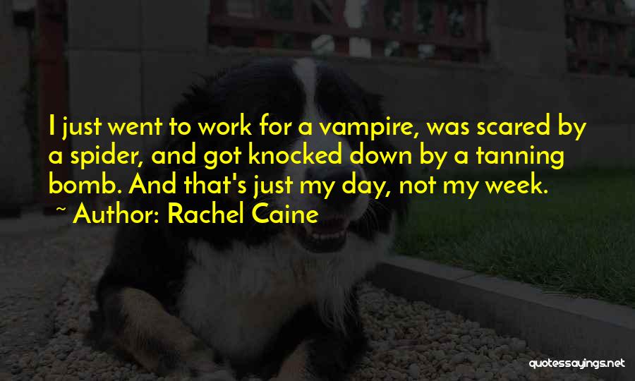 Rachel Caine Quotes: I Just Went To Work For A Vampire, Was Scared By A Spider, And Got Knocked Down By A Tanning