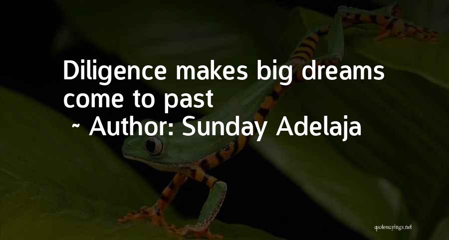 Sunday Adelaja Quotes: Diligence Makes Big Dreams Come To Past