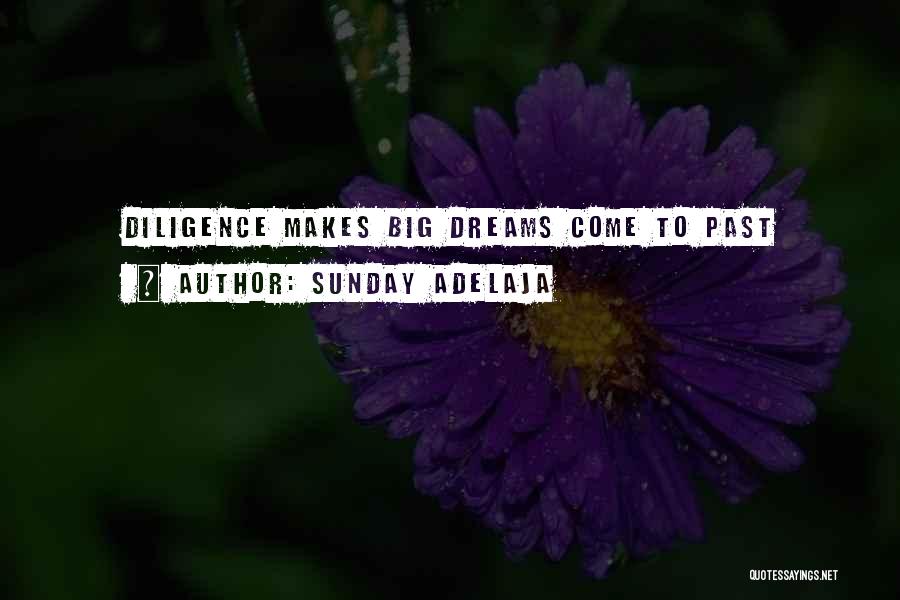 Sunday Adelaja Quotes: Diligence Makes Big Dreams Come To Past