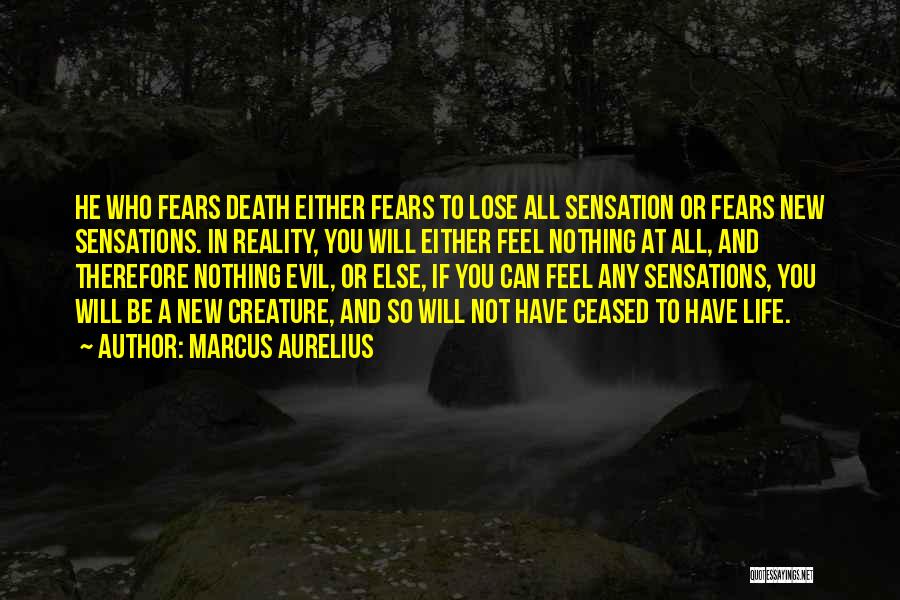 Marcus Aurelius Quotes: He Who Fears Death Either Fears To Lose All Sensation Or Fears New Sensations. In Reality, You Will Either Feel