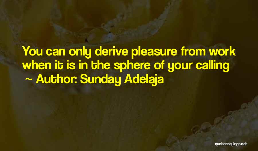 Sunday Adelaja Quotes: You Can Only Derive Pleasure From Work When It Is In The Sphere Of Your Calling