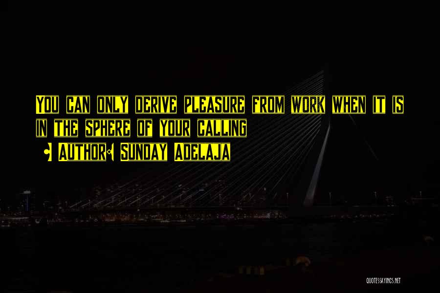 Sunday Adelaja Quotes: You Can Only Derive Pleasure From Work When It Is In The Sphere Of Your Calling