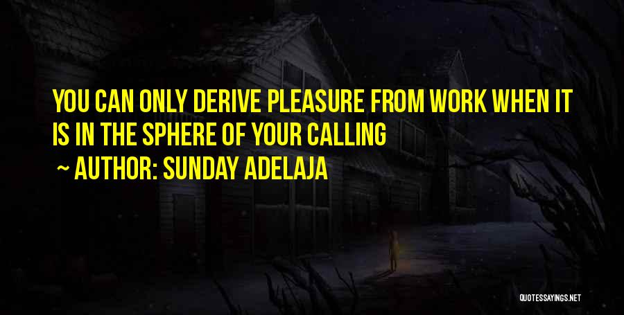 Sunday Adelaja Quotes: You Can Only Derive Pleasure From Work When It Is In The Sphere Of Your Calling