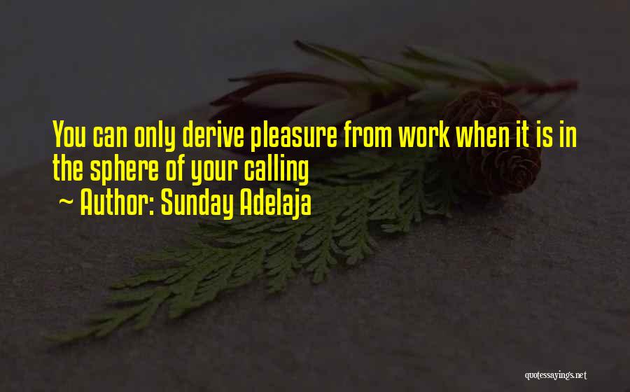 Sunday Adelaja Quotes: You Can Only Derive Pleasure From Work When It Is In The Sphere Of Your Calling