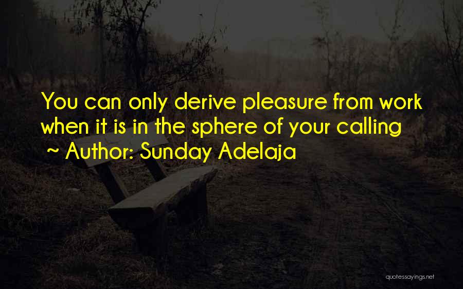 Sunday Adelaja Quotes: You Can Only Derive Pleasure From Work When It Is In The Sphere Of Your Calling