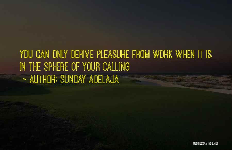 Sunday Adelaja Quotes: You Can Only Derive Pleasure From Work When It Is In The Sphere Of Your Calling