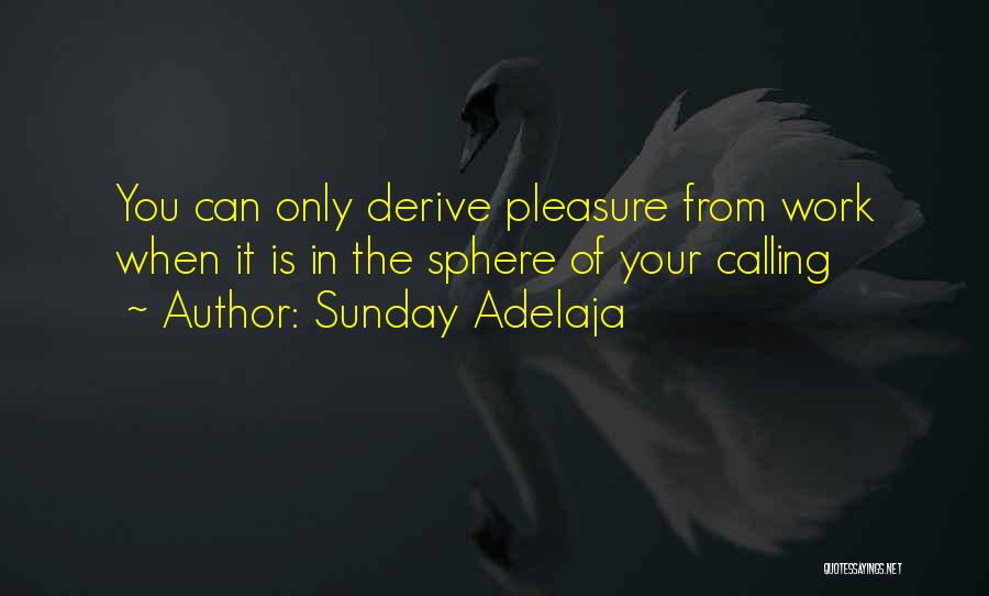 Sunday Adelaja Quotes: You Can Only Derive Pleasure From Work When It Is In The Sphere Of Your Calling