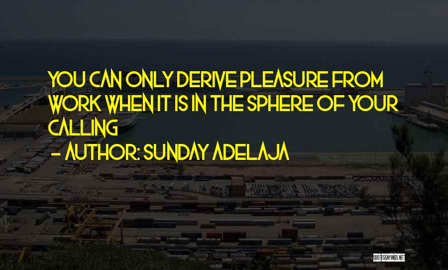 Sunday Adelaja Quotes: You Can Only Derive Pleasure From Work When It Is In The Sphere Of Your Calling