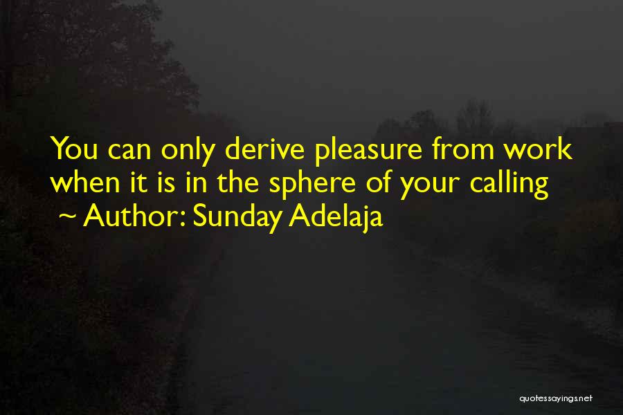 Sunday Adelaja Quotes: You Can Only Derive Pleasure From Work When It Is In The Sphere Of Your Calling