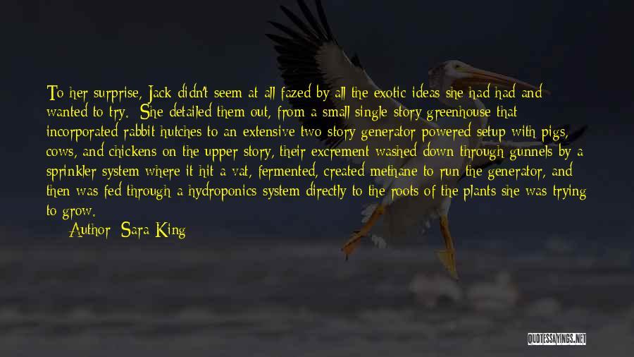 Sara King Quotes: To Her Surprise, Jack Didn't Seem At All Fazed By All The Exotic Ideas She Had Had And Wanted To