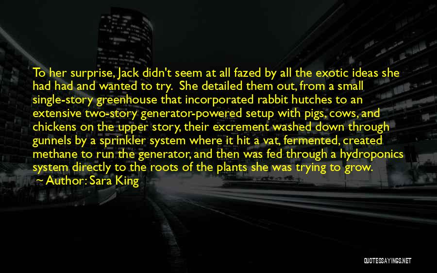 Sara King Quotes: To Her Surprise, Jack Didn't Seem At All Fazed By All The Exotic Ideas She Had Had And Wanted To