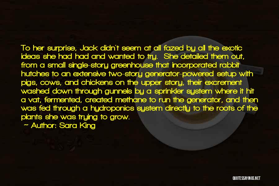 Sara King Quotes: To Her Surprise, Jack Didn't Seem At All Fazed By All The Exotic Ideas She Had Had And Wanted To