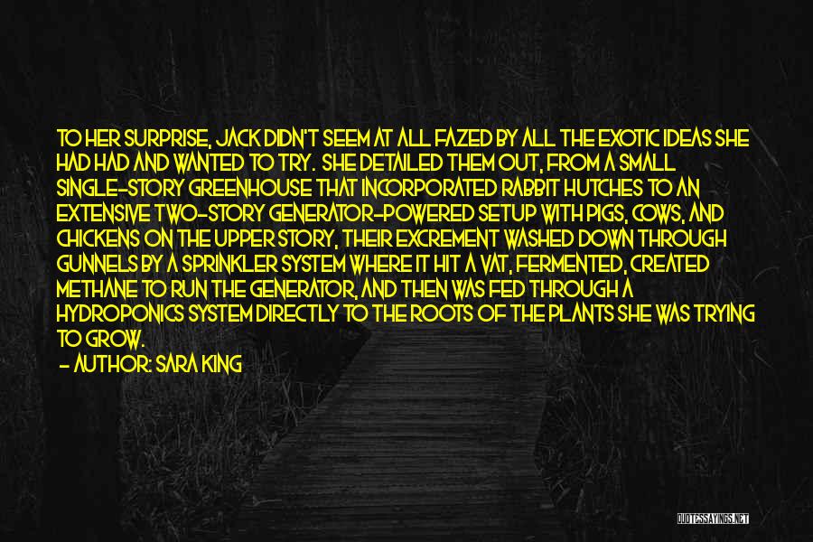 Sara King Quotes: To Her Surprise, Jack Didn't Seem At All Fazed By All The Exotic Ideas She Had Had And Wanted To