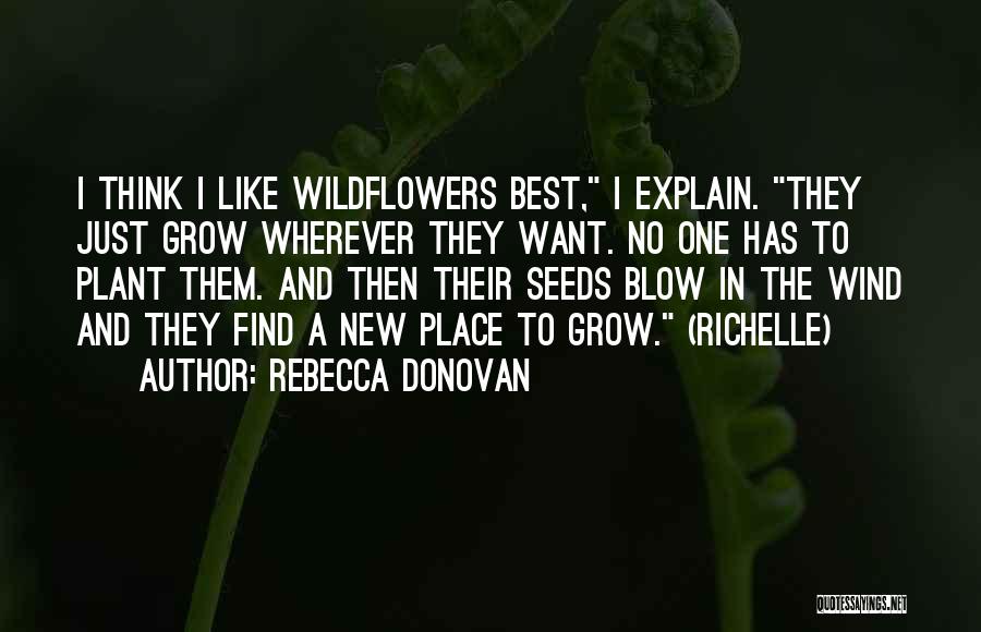 Rebecca Donovan Quotes: I Think I Like Wildflowers Best, I Explain. They Just Grow Wherever They Want. No One Has To Plant Them.