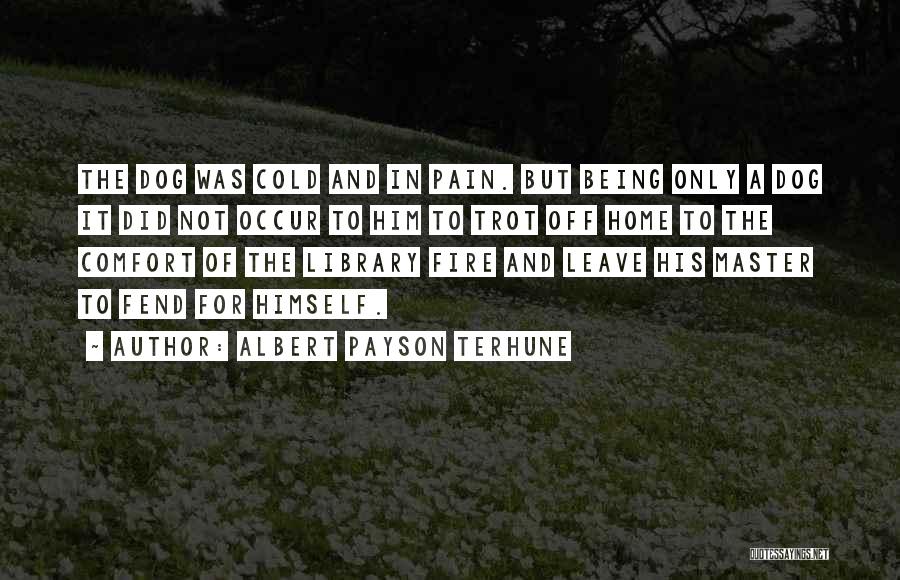 Albert Payson Terhune Quotes: The Dog Was Cold And In Pain. But Being Only A Dog It Did Not Occur To Him To Trot