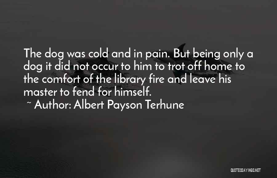 Albert Payson Terhune Quotes: The Dog Was Cold And In Pain. But Being Only A Dog It Did Not Occur To Him To Trot