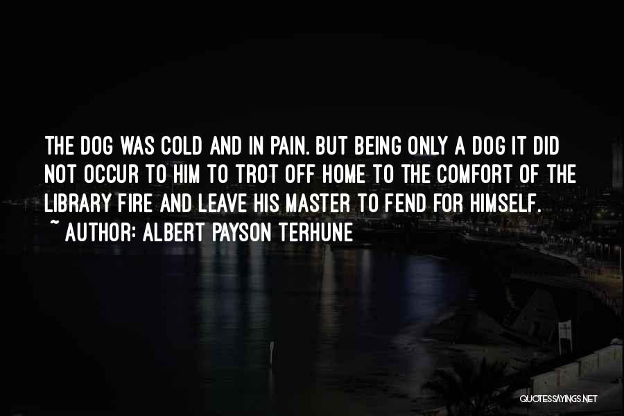Albert Payson Terhune Quotes: The Dog Was Cold And In Pain. But Being Only A Dog It Did Not Occur To Him To Trot
