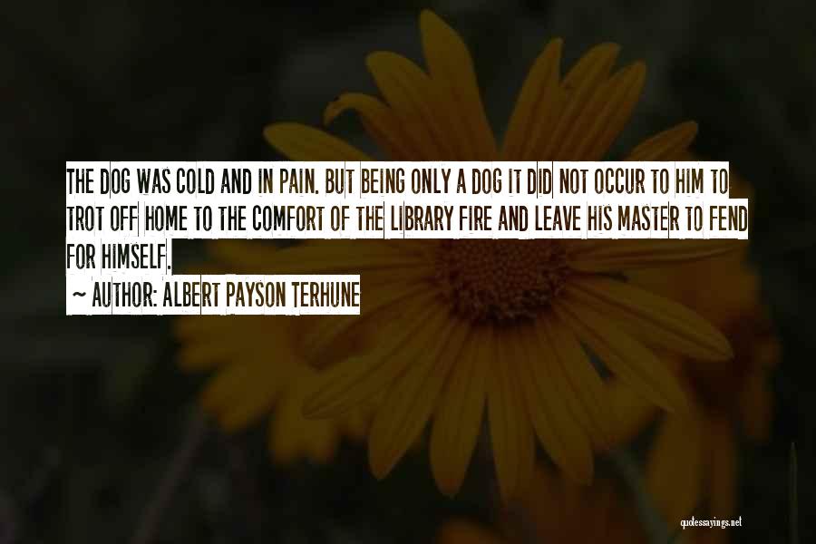 Albert Payson Terhune Quotes: The Dog Was Cold And In Pain. But Being Only A Dog It Did Not Occur To Him To Trot