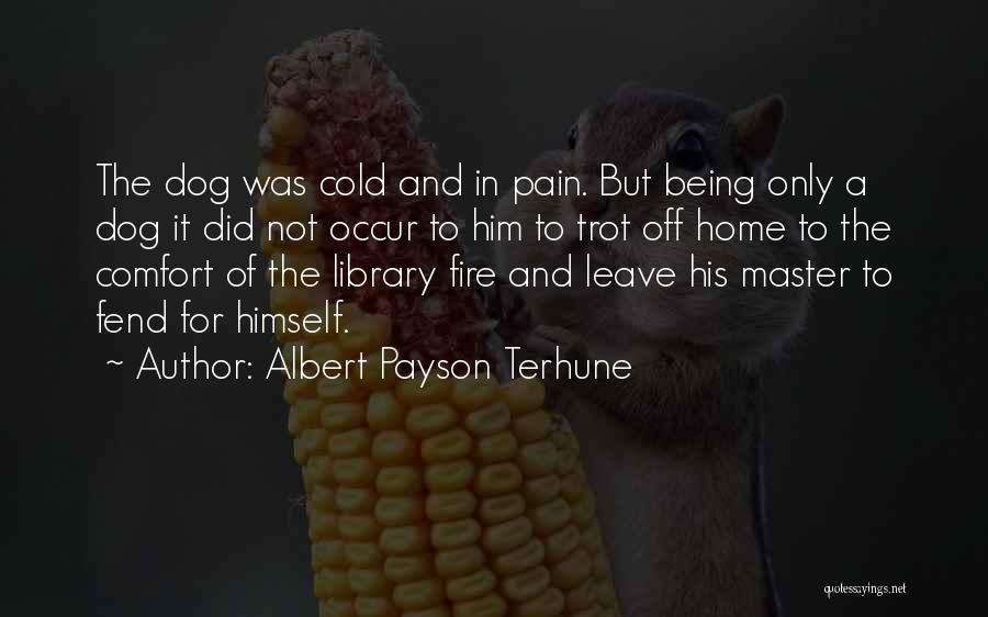 Albert Payson Terhune Quotes: The Dog Was Cold And In Pain. But Being Only A Dog It Did Not Occur To Him To Trot