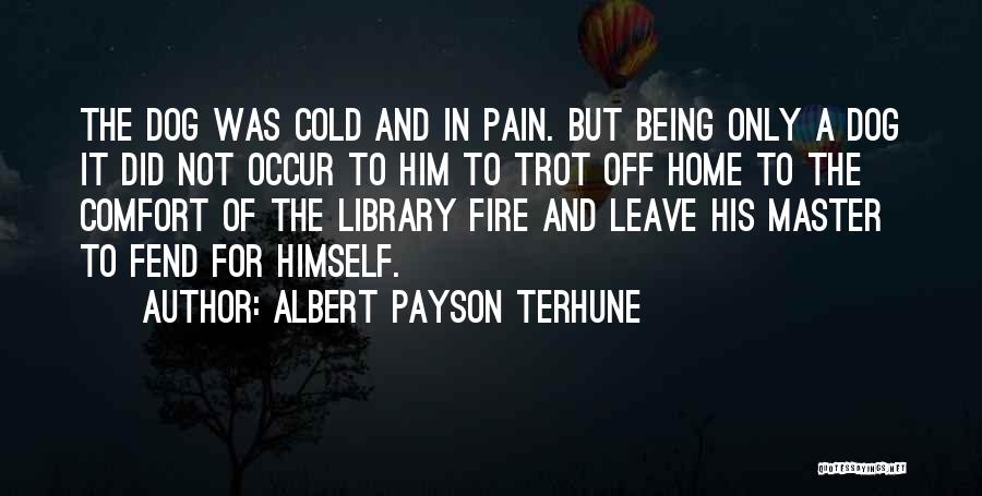 Albert Payson Terhune Quotes: The Dog Was Cold And In Pain. But Being Only A Dog It Did Not Occur To Him To Trot