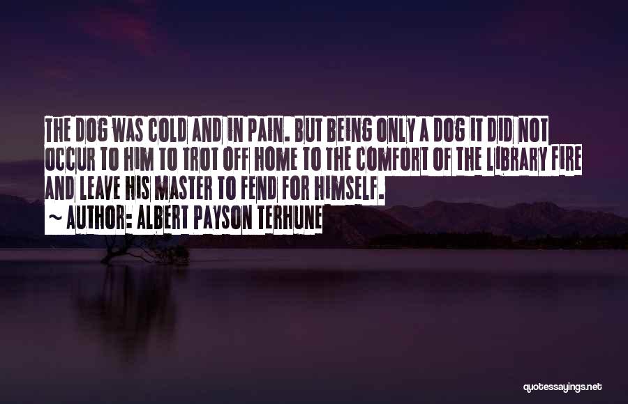 Albert Payson Terhune Quotes: The Dog Was Cold And In Pain. But Being Only A Dog It Did Not Occur To Him To Trot