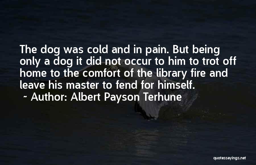 Albert Payson Terhune Quotes: The Dog Was Cold And In Pain. But Being Only A Dog It Did Not Occur To Him To Trot