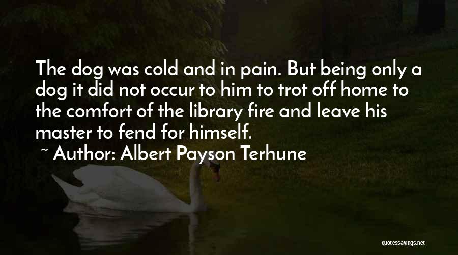 Albert Payson Terhune Quotes: The Dog Was Cold And In Pain. But Being Only A Dog It Did Not Occur To Him To Trot