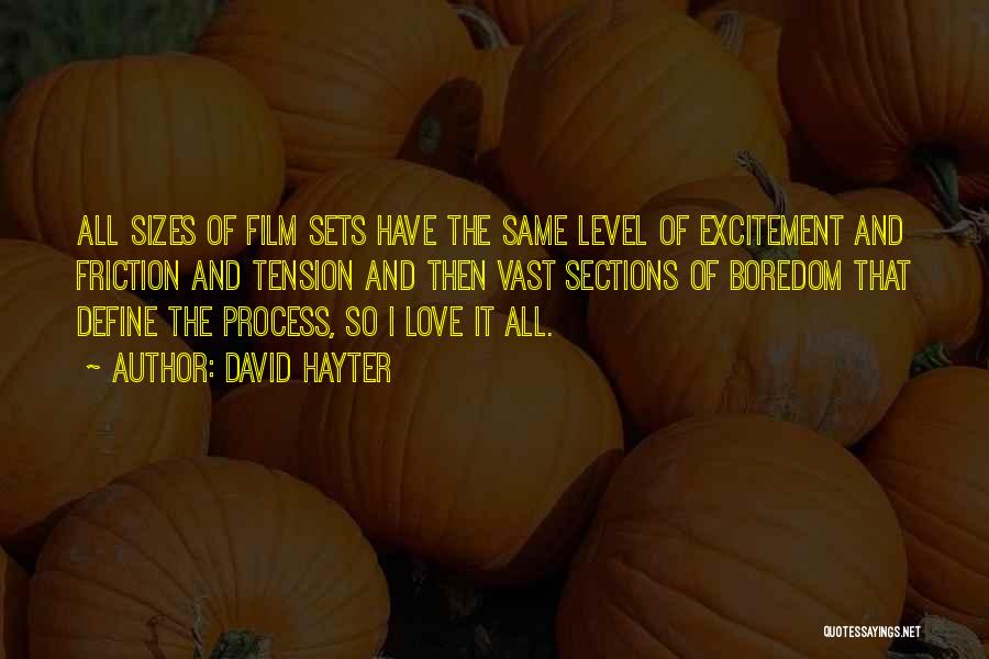 David Hayter Quotes: All Sizes Of Film Sets Have The Same Level Of Excitement And Friction And Tension And Then Vast Sections Of