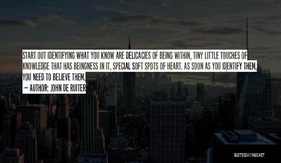 John De Ruiter Quotes: Start Out Identifying What You Know Are Delicacies Of Being Within, Tiny Little Touches Of Knowledge That Has Beingness In