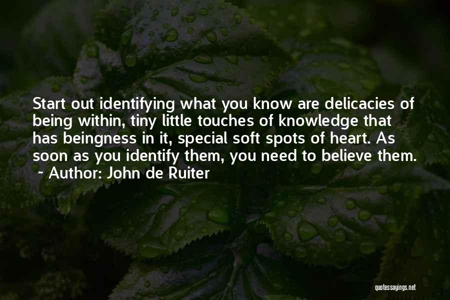 John De Ruiter Quotes: Start Out Identifying What You Know Are Delicacies Of Being Within, Tiny Little Touches Of Knowledge That Has Beingness In