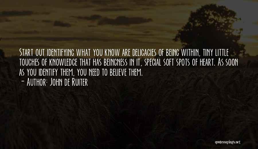 John De Ruiter Quotes: Start Out Identifying What You Know Are Delicacies Of Being Within, Tiny Little Touches Of Knowledge That Has Beingness In