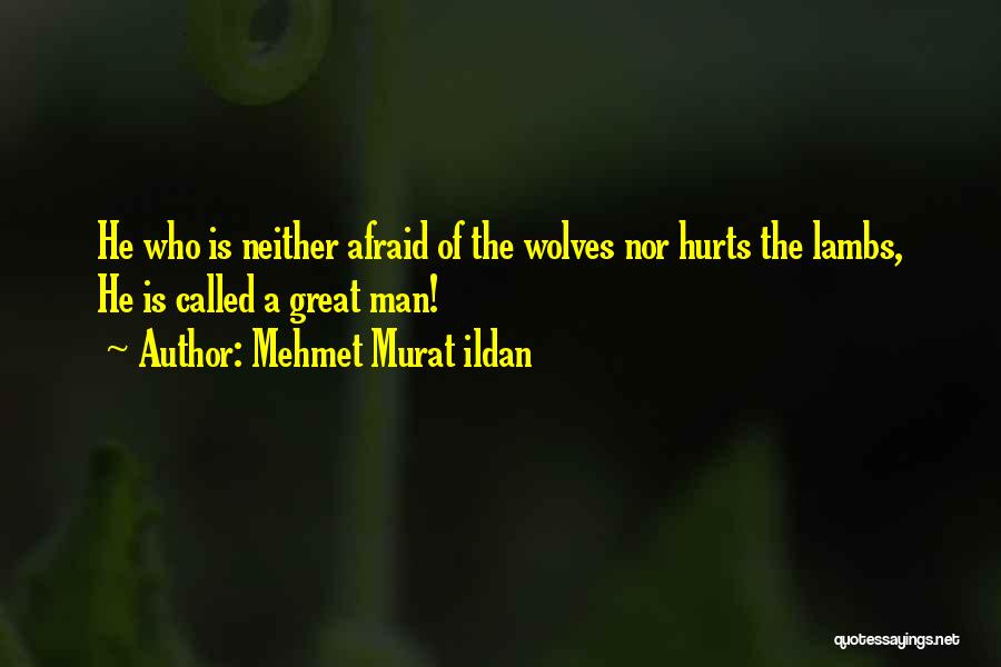 Mehmet Murat Ildan Quotes: He Who Is Neither Afraid Of The Wolves Nor Hurts The Lambs, He Is Called A Great Man!