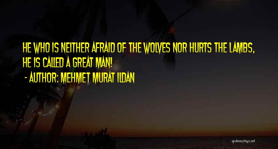 Mehmet Murat Ildan Quotes: He Who Is Neither Afraid Of The Wolves Nor Hurts The Lambs, He Is Called A Great Man!