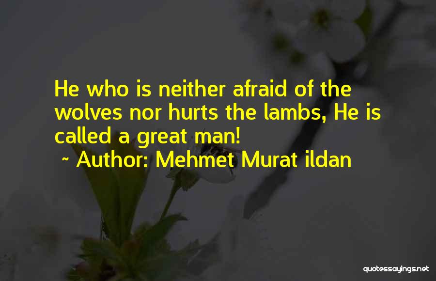 Mehmet Murat Ildan Quotes: He Who Is Neither Afraid Of The Wolves Nor Hurts The Lambs, He Is Called A Great Man!