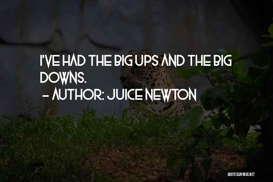 Juice Newton Quotes: I've Had The Big Ups And The Big Downs.