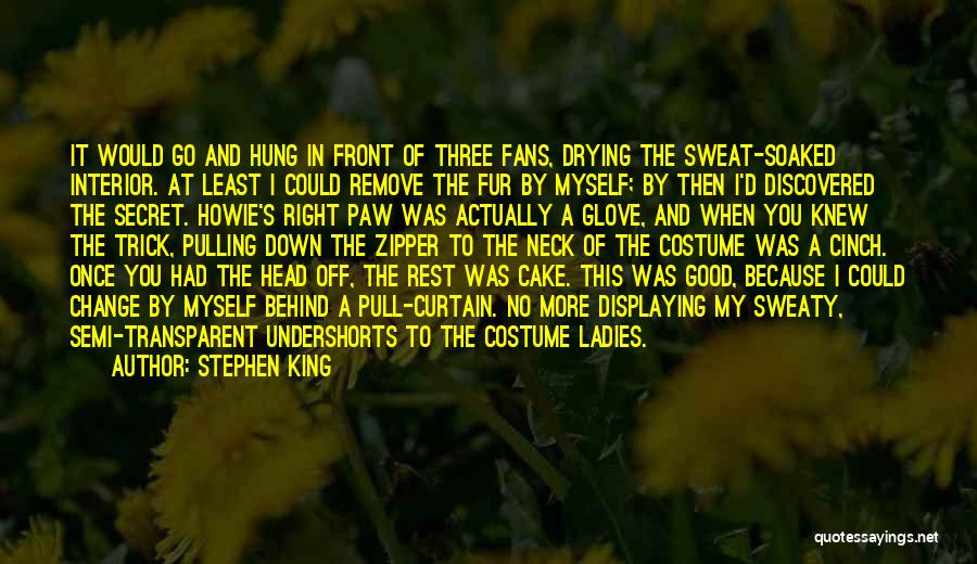 Stephen King Quotes: It Would Go And Hung In Front Of Three Fans, Drying The Sweat-soaked Interior. At Least I Could Remove The