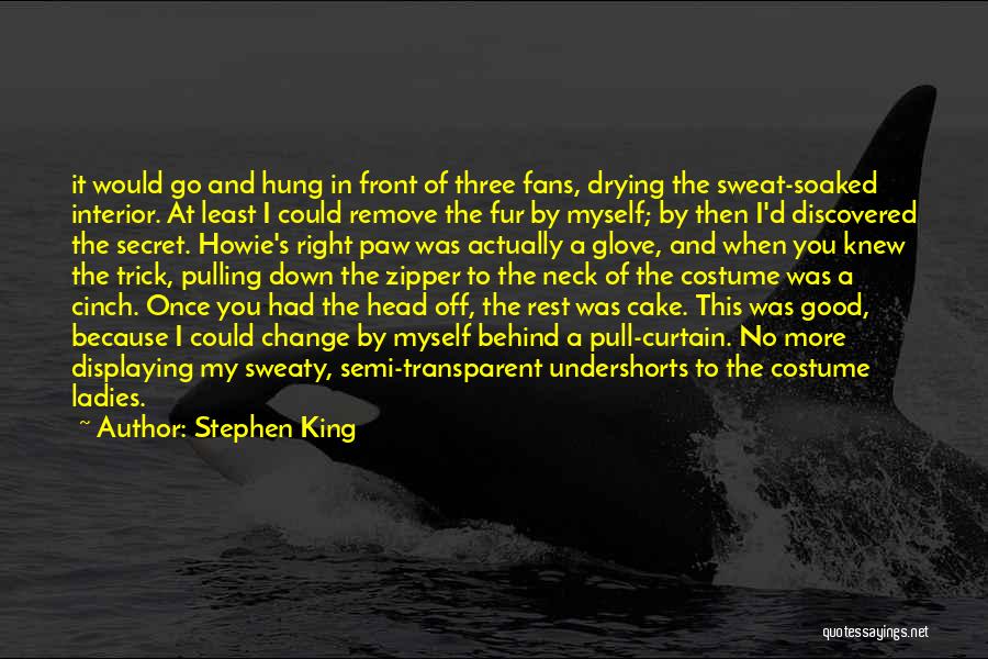 Stephen King Quotes: It Would Go And Hung In Front Of Three Fans, Drying The Sweat-soaked Interior. At Least I Could Remove The