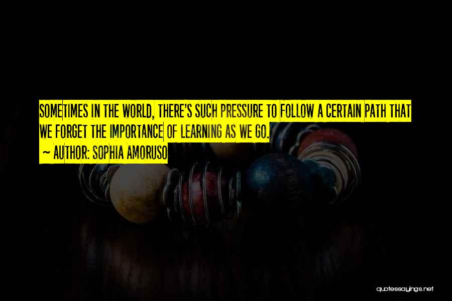 Sophia Amoruso Quotes: Sometimes In The World, There's Such Pressure To Follow A Certain Path That We Forget The Importance Of Learning As