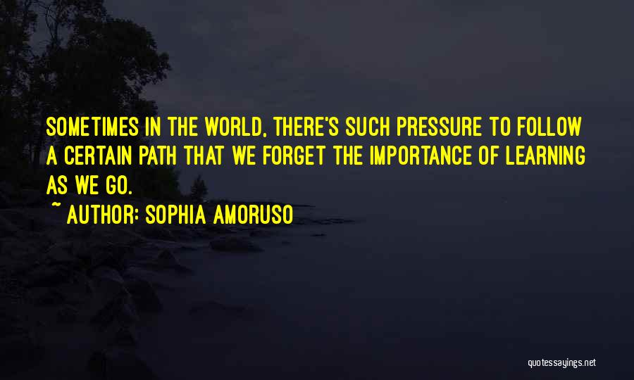 Sophia Amoruso Quotes: Sometimes In The World, There's Such Pressure To Follow A Certain Path That We Forget The Importance Of Learning As