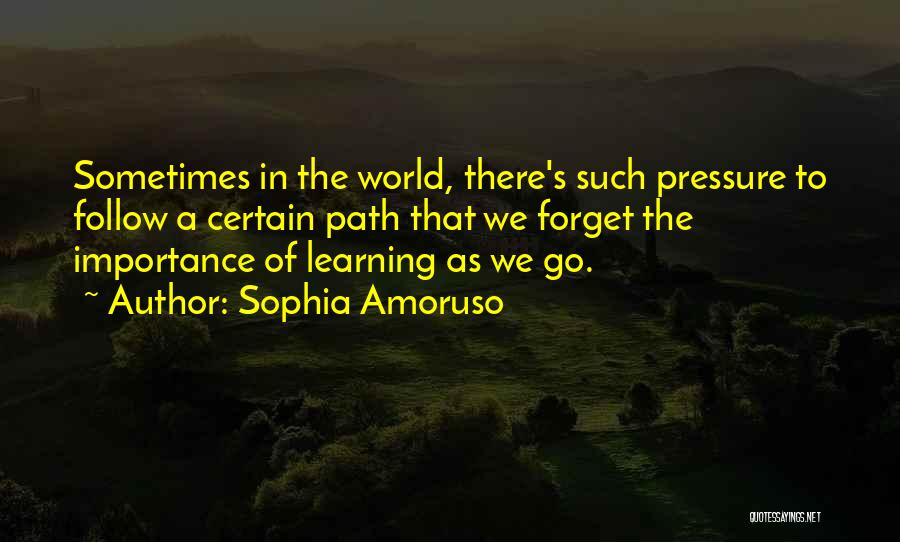 Sophia Amoruso Quotes: Sometimes In The World, There's Such Pressure To Follow A Certain Path That We Forget The Importance Of Learning As