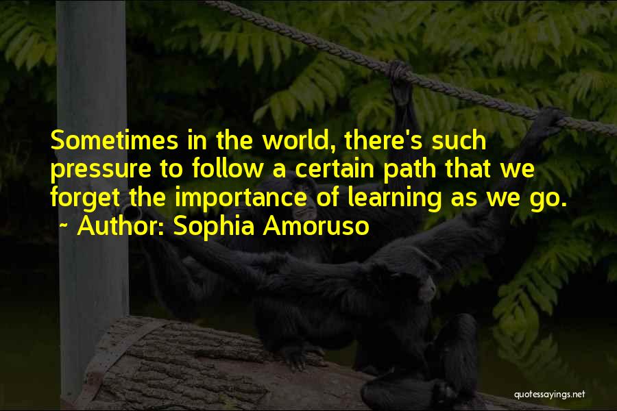 Sophia Amoruso Quotes: Sometimes In The World, There's Such Pressure To Follow A Certain Path That We Forget The Importance Of Learning As